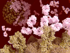 Antibody Validation News