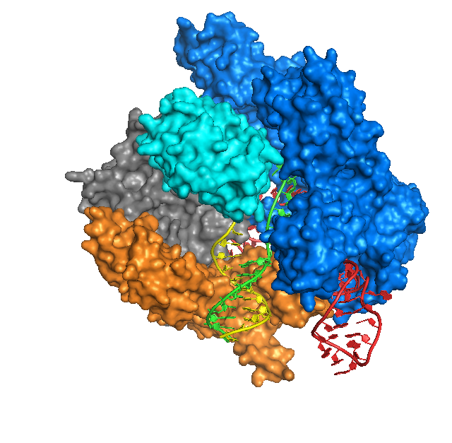 ProSci Blog Antibody Update CRISPR Cas9