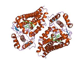 Cancer Immunotherapy IDO