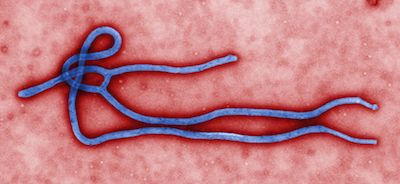 Ebola Zaire Vaccine