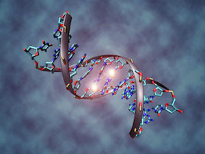 Genotyping for Immunotherapy