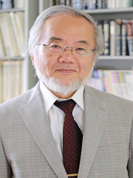 Nobel Prize Autophagy